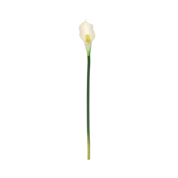 Kuk Çiçek Gala Tekdal (White)