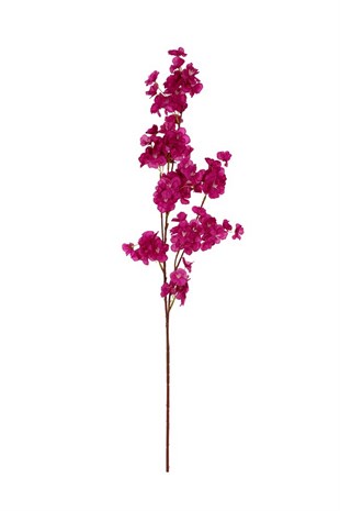 Kuk Çiçek Bahar Dalı (Purple)