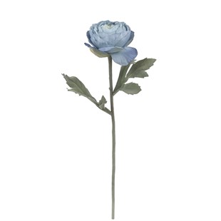 Ranunculus Dal (Blue)